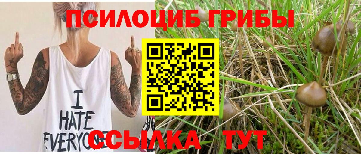 продажа наркотиков  Вход с VPN  Михайловка  Галлюциногенные грибы ЛСД 