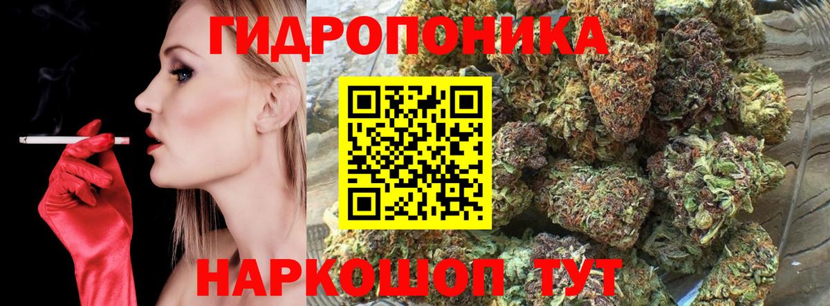 Конопля план Михайловка